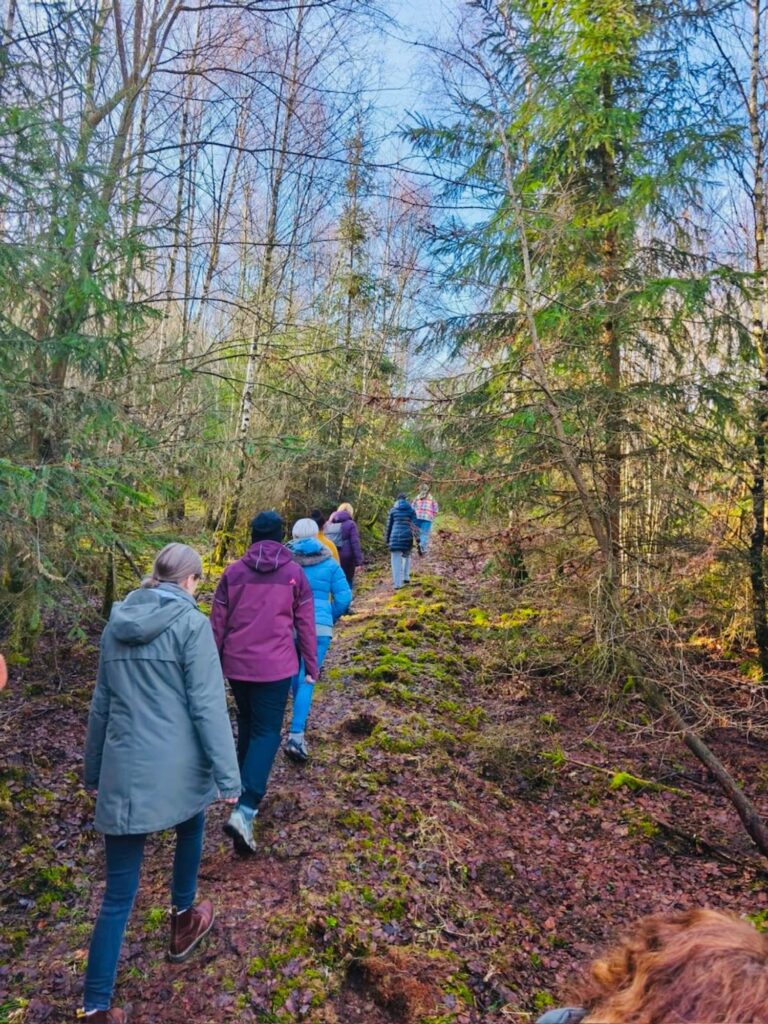 Gruppe von Frauen wandert gemeinsam einen Waldweg hinauf – Retreat für Frauen in der Natur
